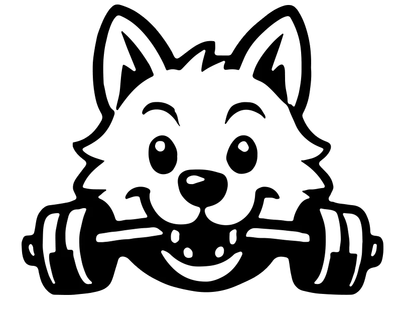 WULF GYM